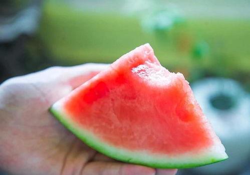 吃瓜吃的好开心