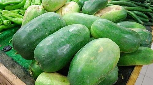 吃瓜人体团练打卡,健康生活新风尚