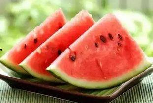 吃瓜有啥用,揭秘“吃瓜”背后的娱乐奥秘与社交价值