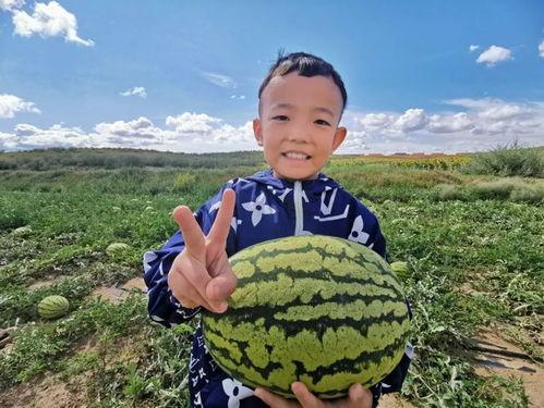 包头吃瓜人,吃瓜人生，品味人间烟火