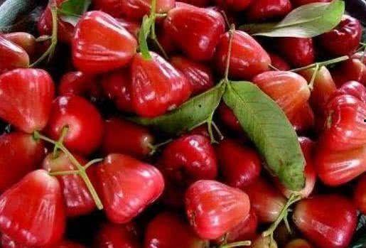 莲雾吃瓜盗版,揭秘网络盗版现象背后的故事