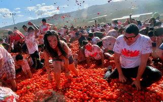 各国吃瓜群众对比,全球“吃瓜群众”文化现象对比概述